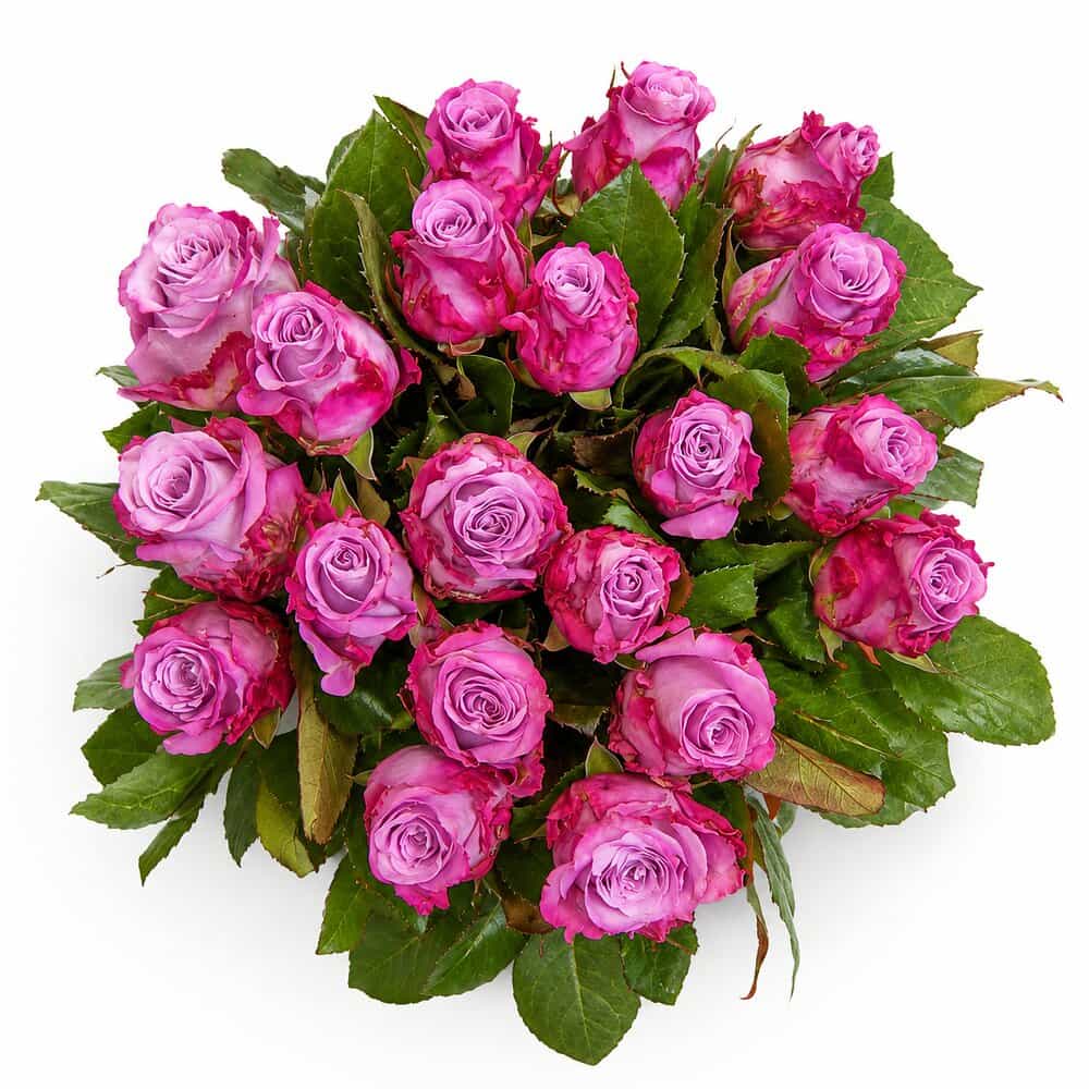 Jana – Rosenstrauß in Lila-Pink – Blumenstrauß vom Münchner Floristen