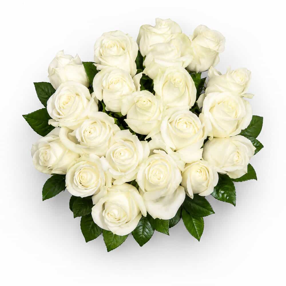 Nora – Weiße Rosen – Blumenstrauß vom Münchner Floristen