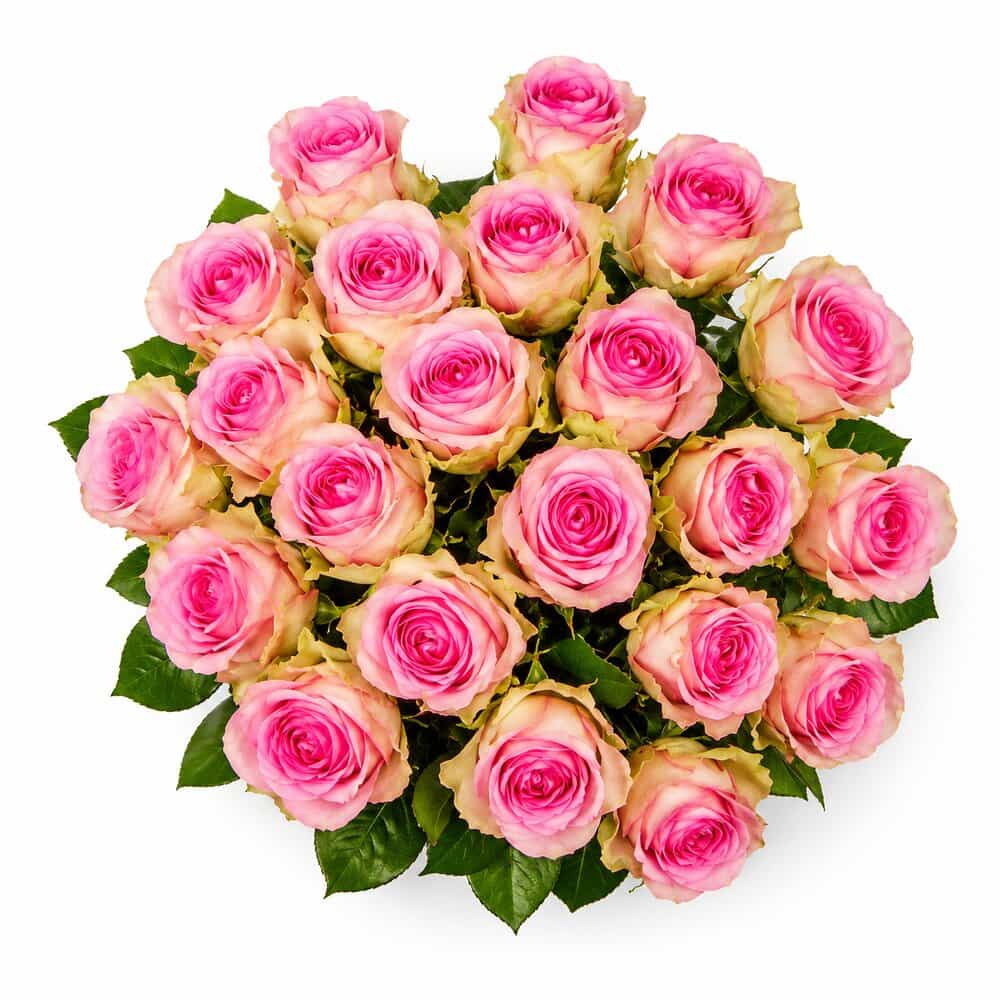Nuri – Sprayrosen in Rosa – Blumenstrauß vom Münchner Floristen