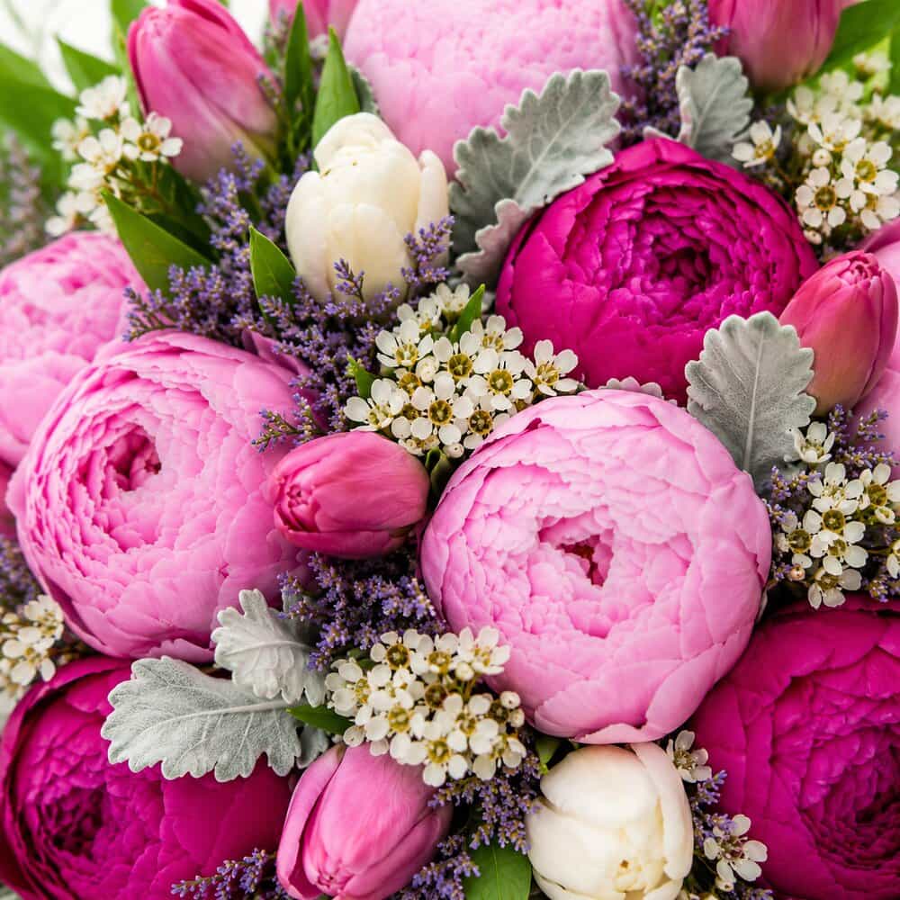 Ella – Pfingstrosen in Rosa & Pink – Detailansicht 2