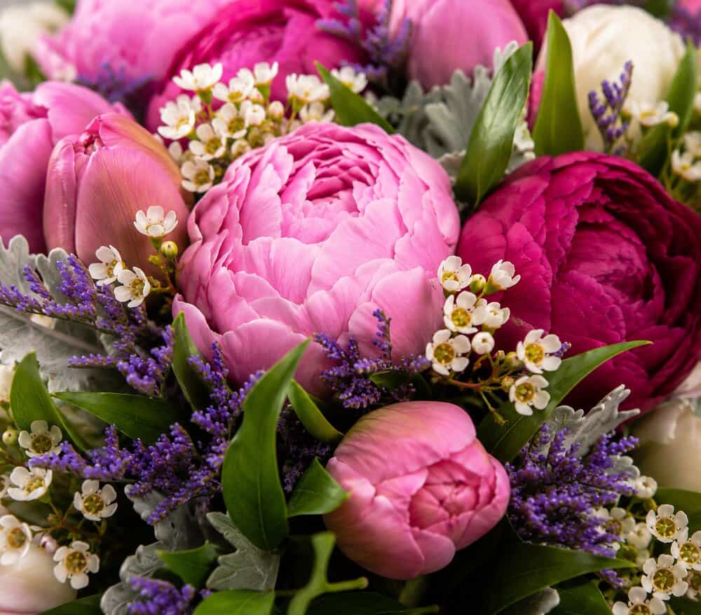 Faye – Pfingstrosen mit Rosen – Detailansicht 2