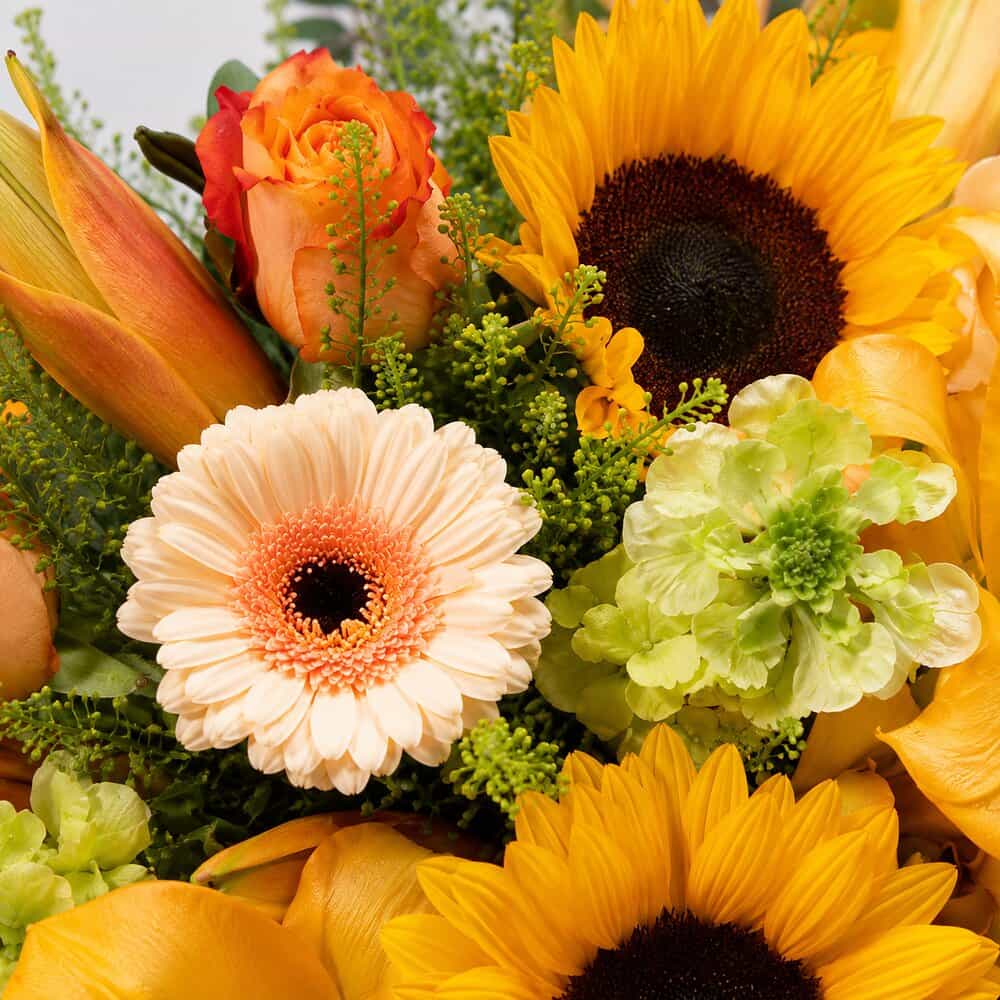 Iris - Sonnenblumen mit Lilien & Gerbera – Detailansicht 2