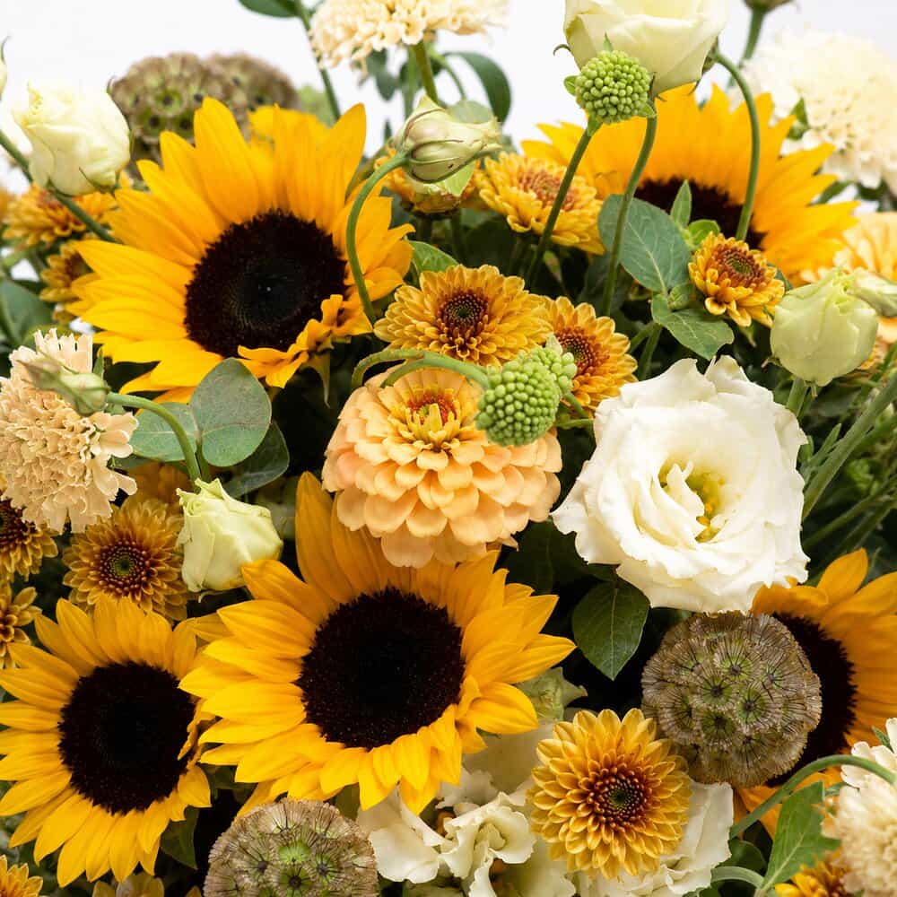 Nele - Sonnenblumen mit Dahlien & Lisianthus – Detailansicht 2