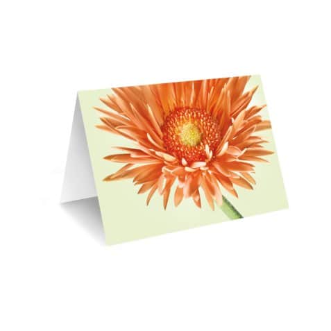 Grußkarte "Gerbera" – frisch gebundener Blumenstrauß