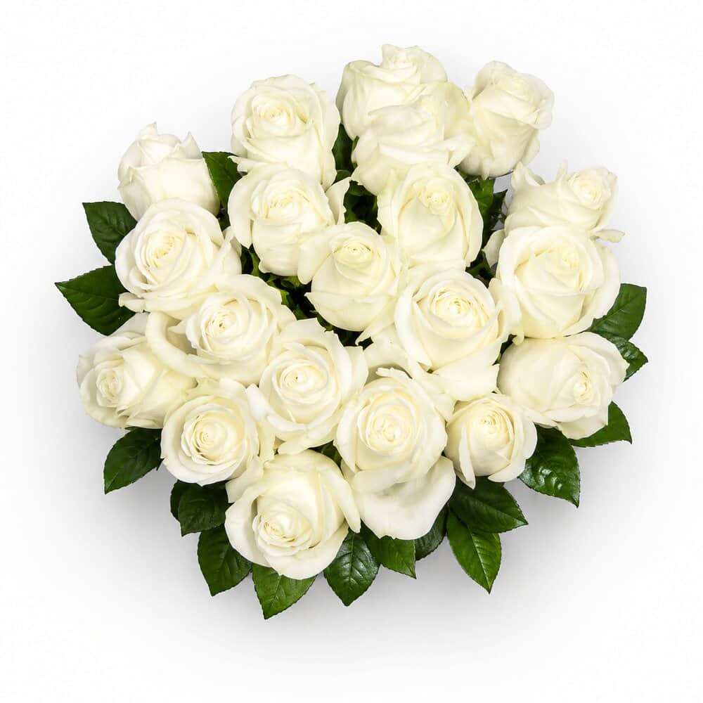 Blumenstrauß Nora – Weiße Rosen – frisch vom Münchner Floristen