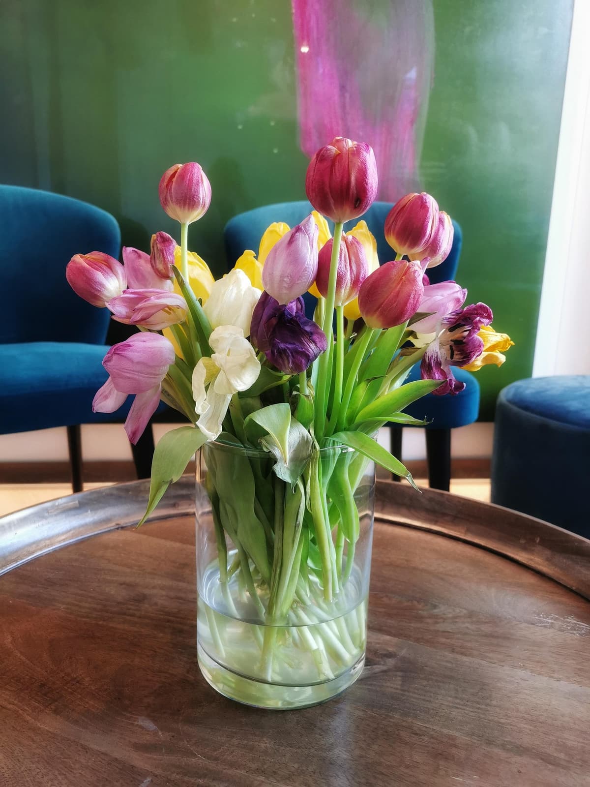 Tulpen pflegen - Pflegetipps vom Floristen