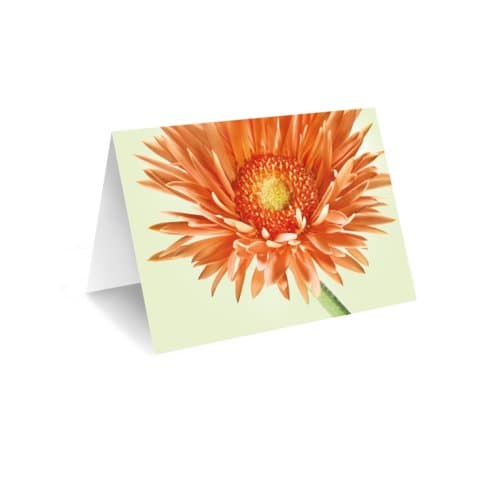 Grußkarte "Gerbera" – Blumenstrauß vom Münchner Floristen
