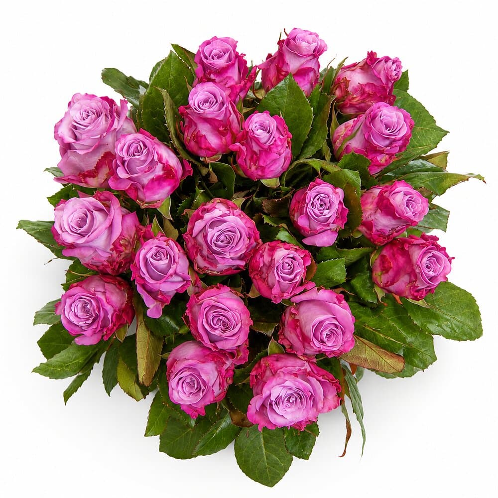 Jana – Rosenstrauß in Lila-Pink – Blumenstrauß vom Münchner Floristen