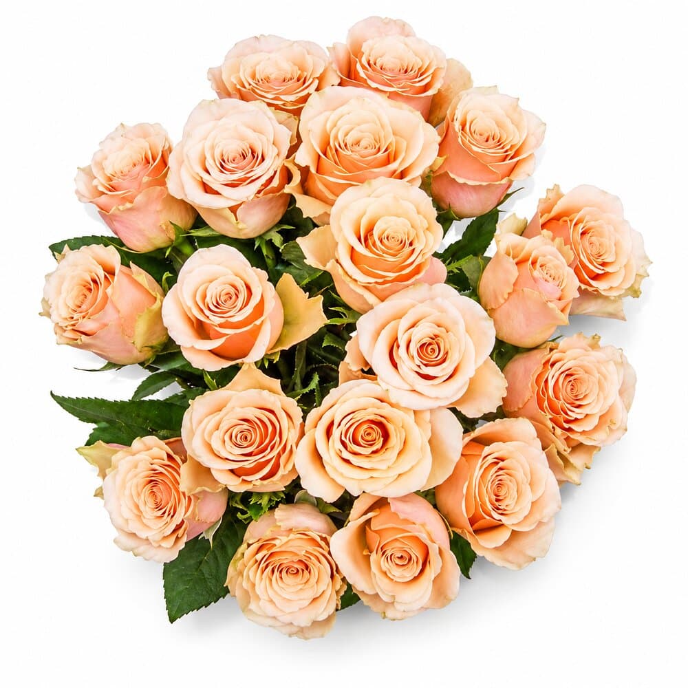 Jill – Rosenstrauß in Creme & Apricot – Blumenstrauß vom Münchner Floristen