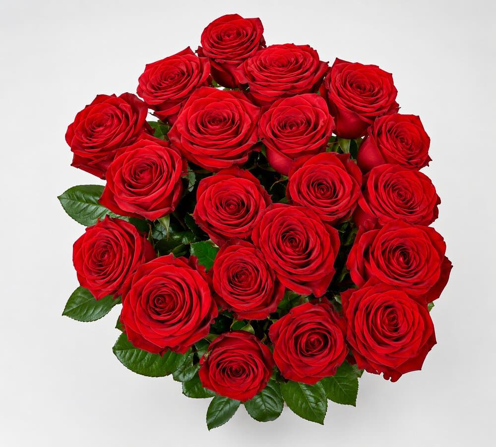 Nomi – Rote Rosen klassisch – Blumenstrauß vom Münchner Floristen