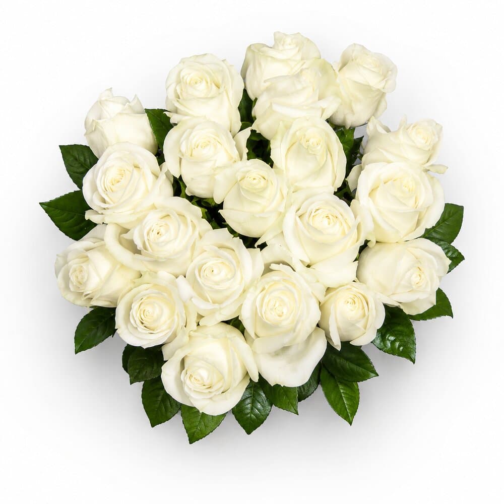 Nora – Weiße Rosen – Blumenstrauß vom Münchner Floristen