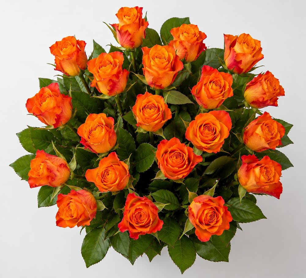 Nova – Rosenstrauß in Orange & Rot – Blumenstrauß vom Münchner Floristen