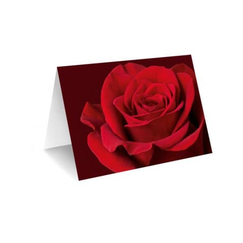 Grußkarte "Rote Rose" – Blumenstrauß vom Münchner Floristen