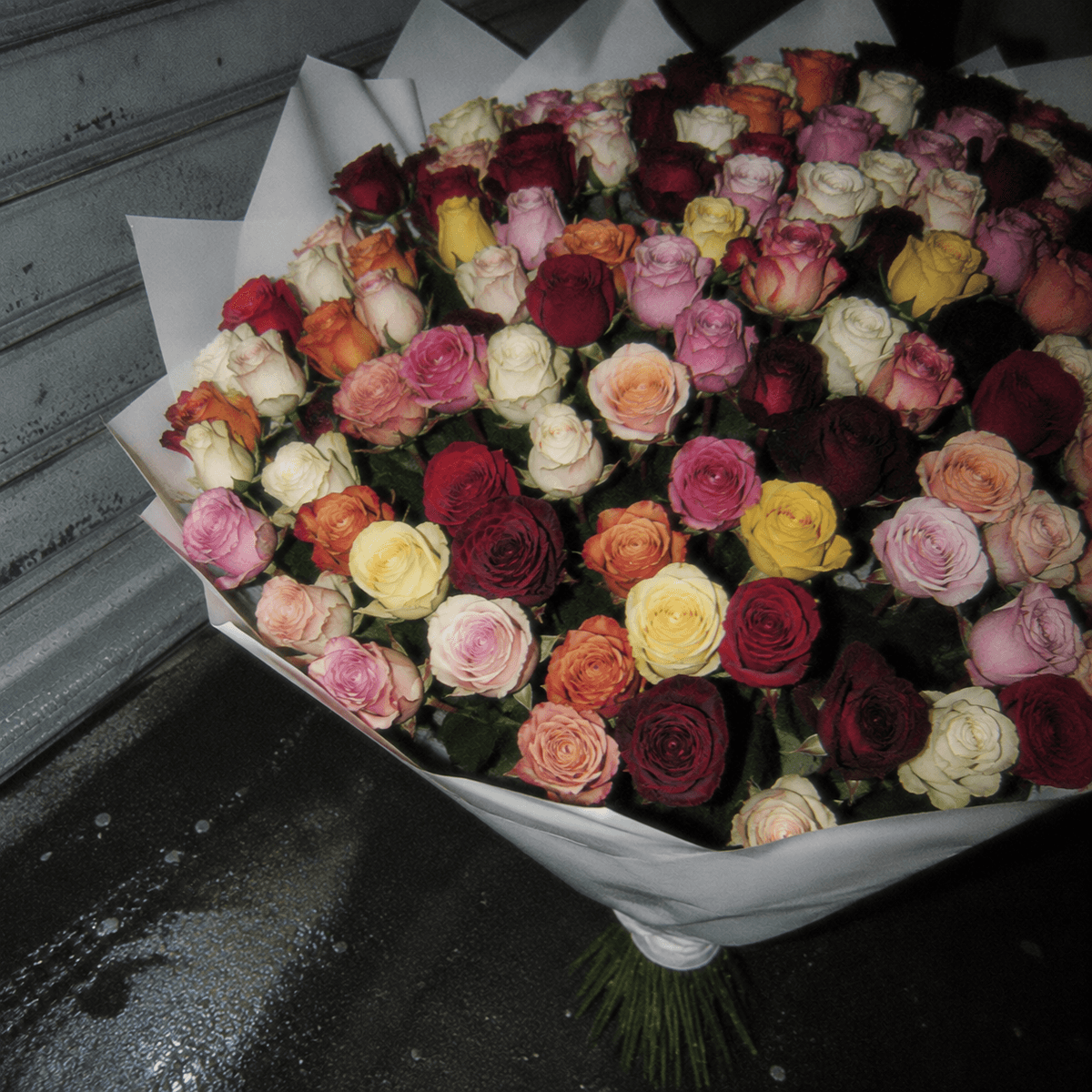 Großer bunter Rosenstrauß aus München - 100 Rosen gemischt